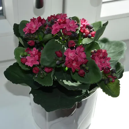 City Overnatning Apartamento